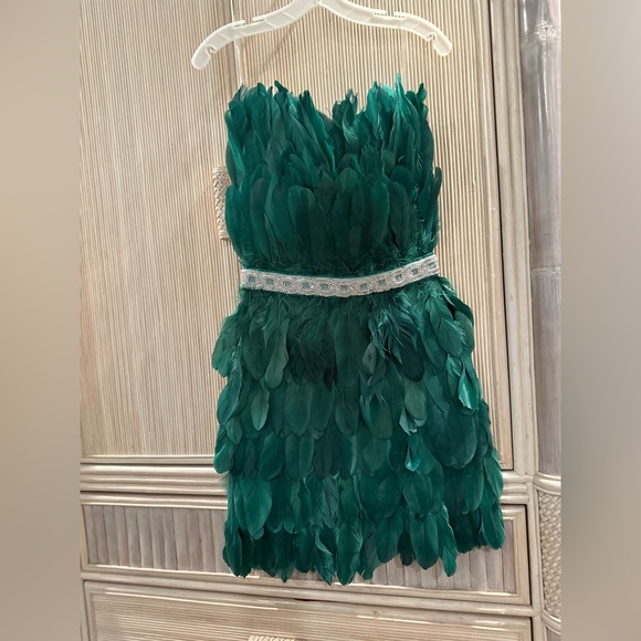 Feather Dress - Picture 3 of 7